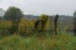 DSC00509.JPG