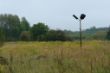 DSC00646.JPG