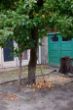 DSCF1749.JPG
