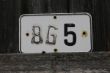 IMG_8592.JPG