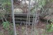 IMG_7826a.jpg