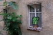 DSCF4731.JPG