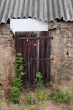 DSCF4781.JPG