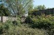 DSCF3044.JPG