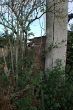 DSCF0281.JPG