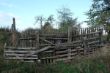 DSCF0306.JPG