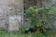 DSCF1363.JPG