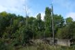 DSCF2264.JPG
