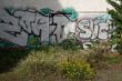 DSCF5778.JPG