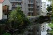 DSCF5784.JPG