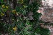 DSCF5846.JPG