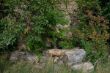 DSCF5853a.jpg