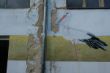 DSCF5901.JPG
