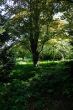 DSCF2191.JPG