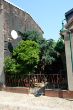 DSCF3021.JPG