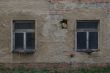 DSCF2589.JPG