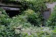 DSCF2700.JPG