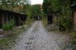 DSCF2720.JPG
