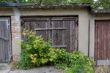 DSCF2741.JPG