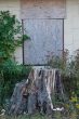 DSCF2797.JPG