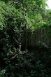 DSCF0025.JPG