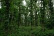 DSCF0079.JPG