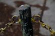 DSCF0106.JPG