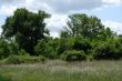 DSCF0361.JPG