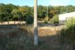 DSC02179.JPG