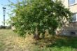 DSC01948.JPG