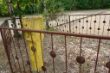 DSC01331.JPG