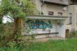 DSC01010.JPG