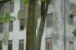 DSC00955.JPG
