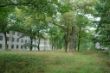 DSC00873.JPG