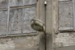 DSC00791.JPG