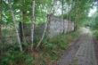 DSC00509.JPG