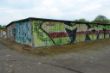 DSC00220.JPG