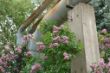 DSC00455.JPG