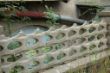 DSC00933.JPG