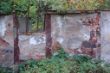 DSC00991.JPG