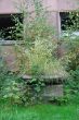 DSC01017.JPG
