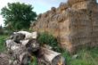 DSC00566.JPG