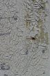 DSC00497.JPG