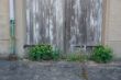DSC00402.JPG