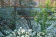 DSC00335.JPG