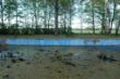 DSC00290.JPG