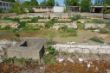 DSC00196.JPG