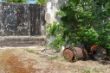DSC00176.JPG