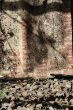 DSC00090.JPG