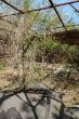 DSC00064.JPG